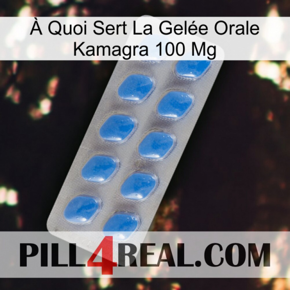 À Quoi Sert La Gelée Orale Kamagra 100 Mg 22